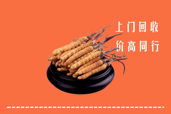 高价求购：祁连县回收散虫草
