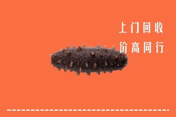 高价求购：祁连县回收海参