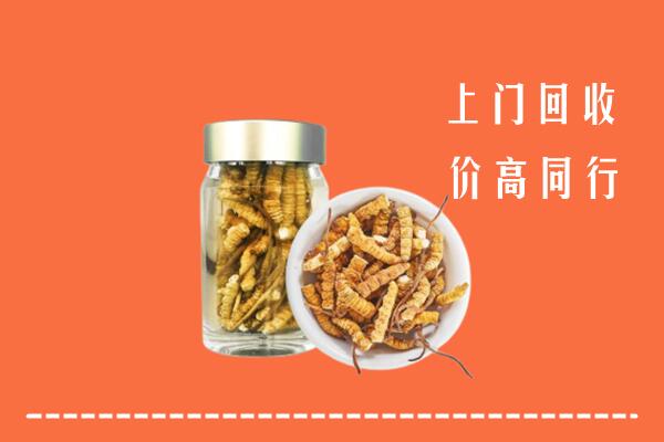 祁连县回收冬虫夏草